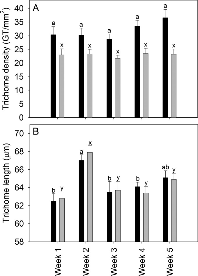 Fig. 6