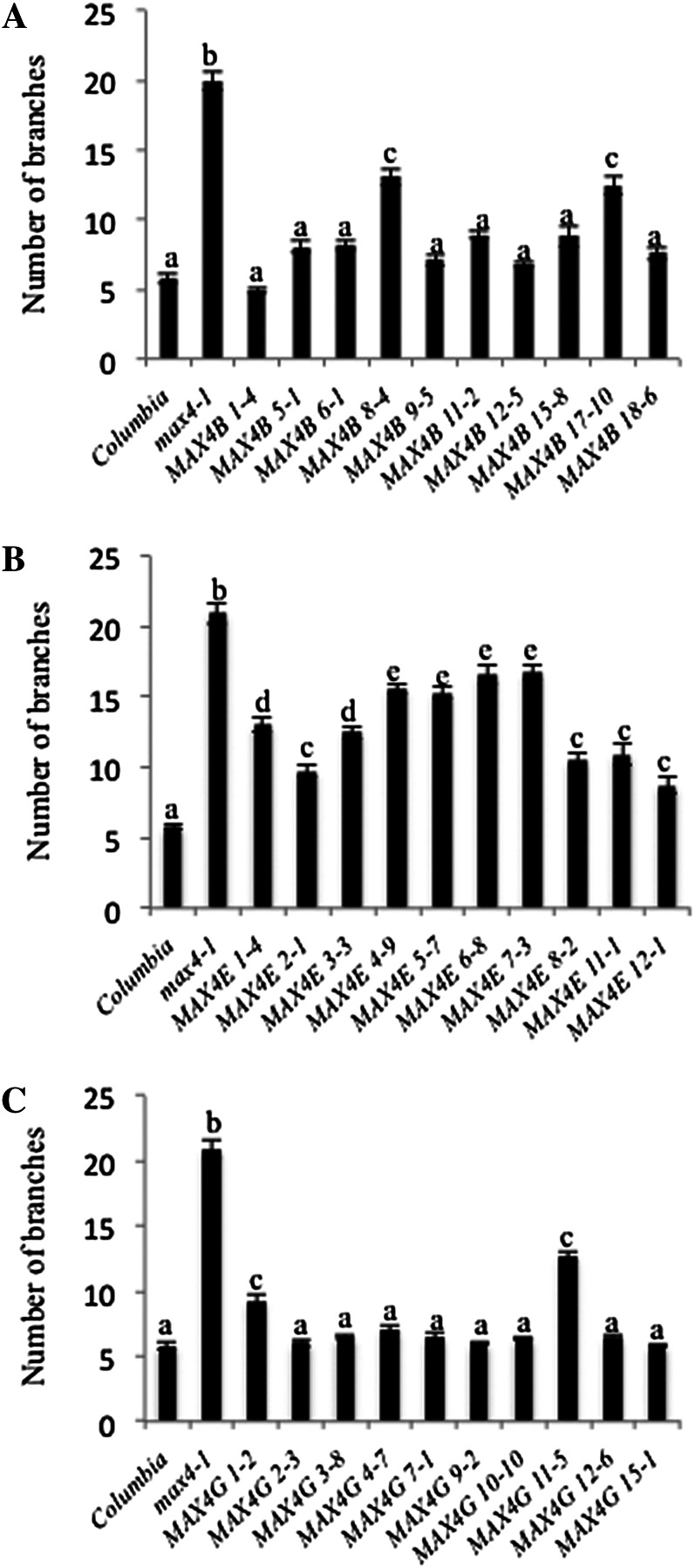 Figure 5.