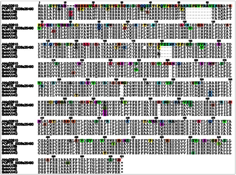 Figure 4.