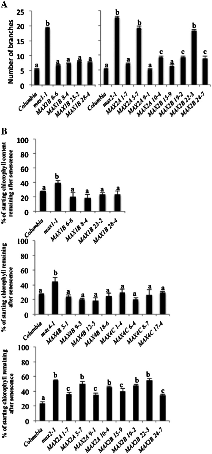 Figure 6.