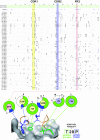 FIG 5