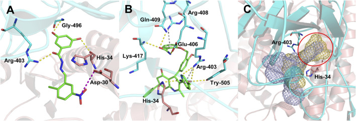 FIGURE 6