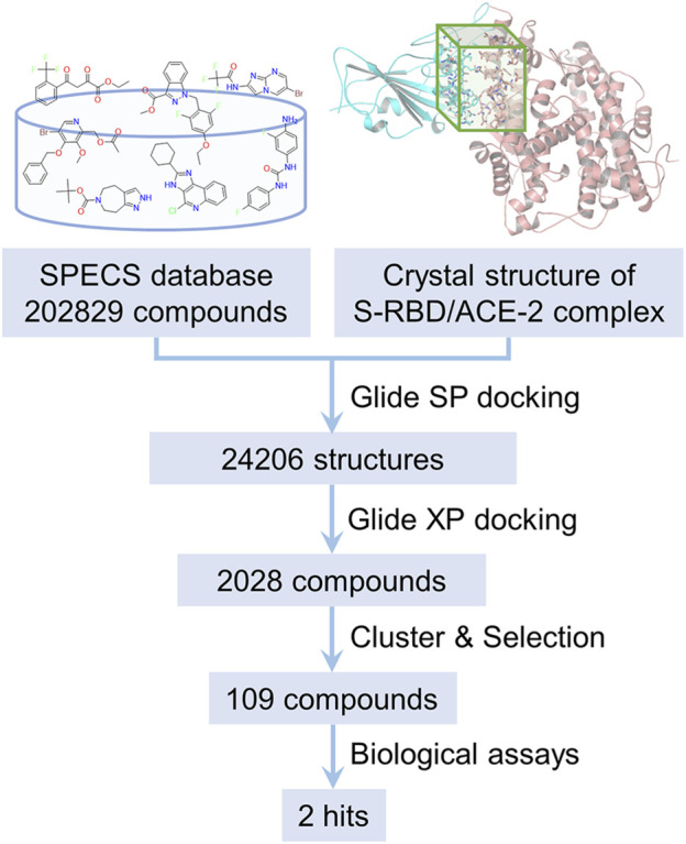 FIGURE 2