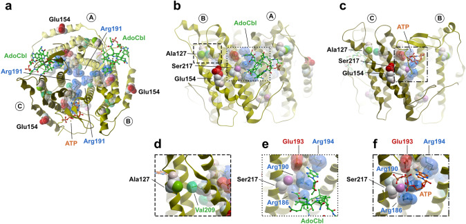 Fig. 4