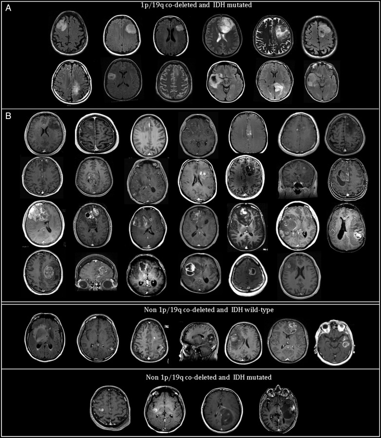 Fig. 2.