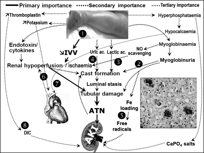 Fig. 2.