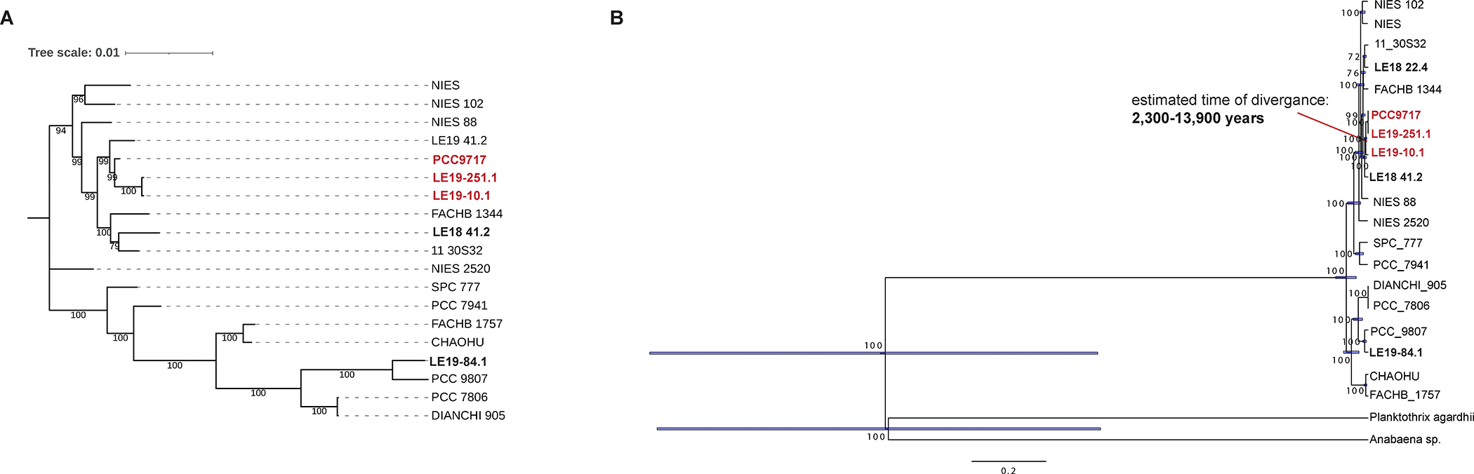 Figure 3: