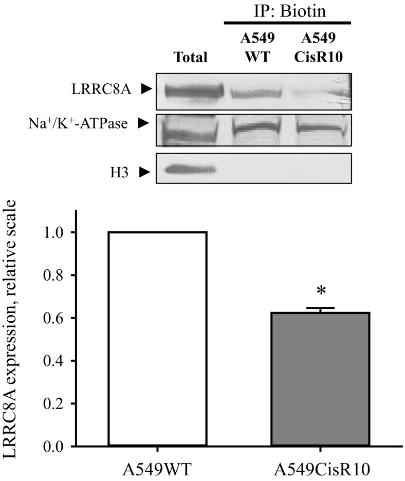 Fig. 9.