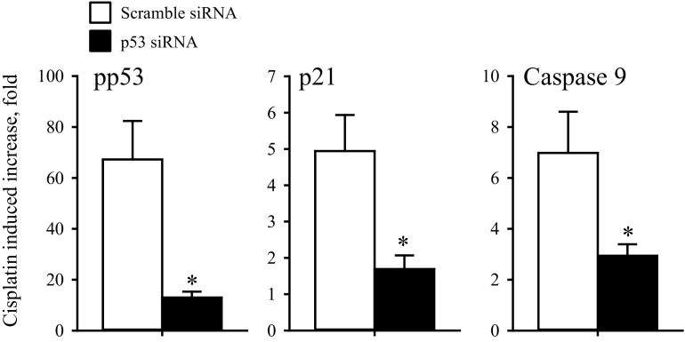 Fig. 11.