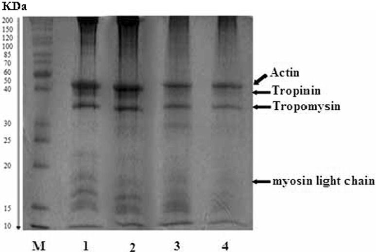 Fig. 5