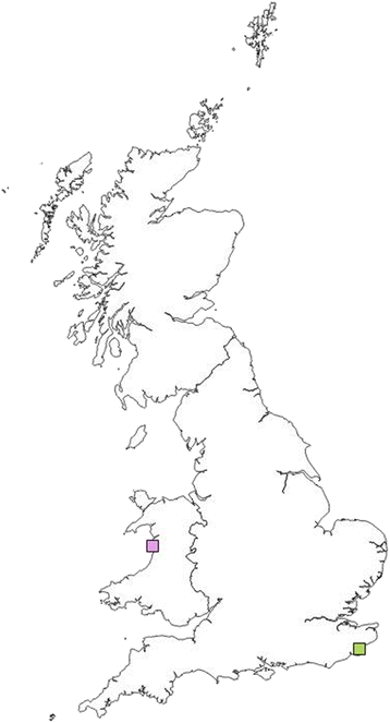 Fig 5