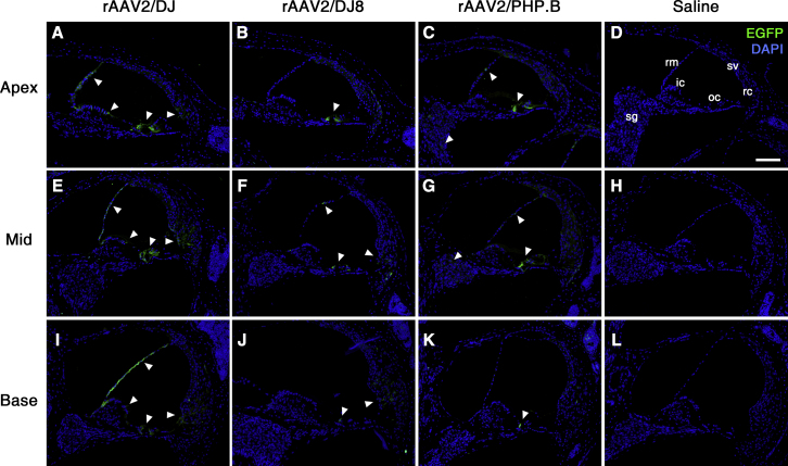 Figure 2