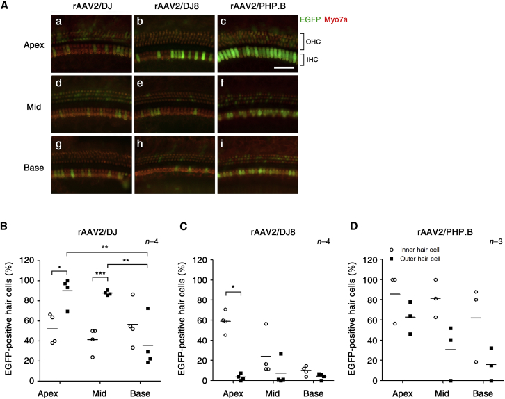 Figure 4