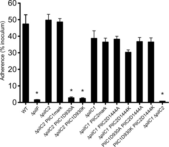 Fig 6