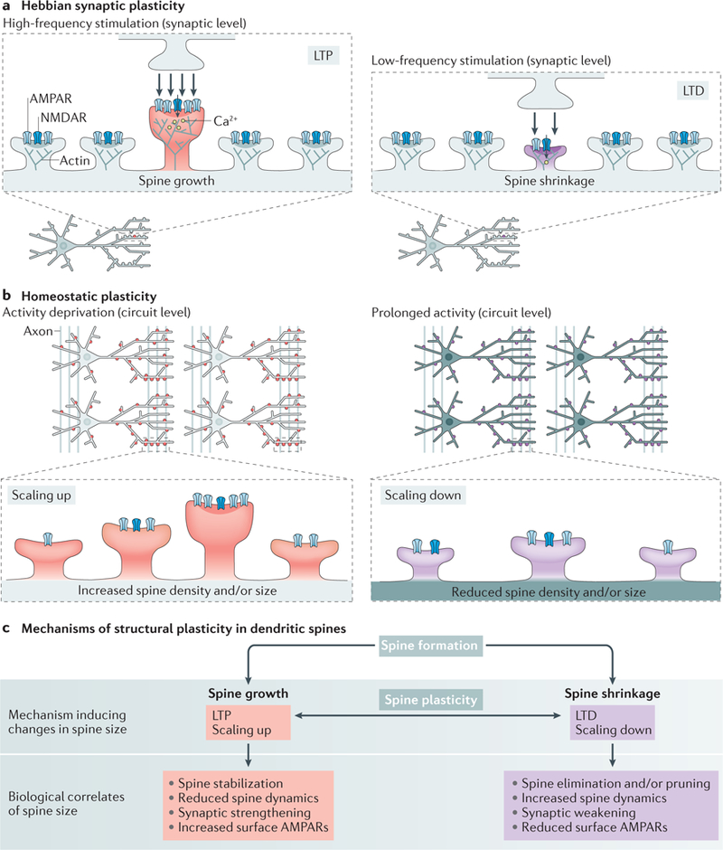 Figure 2|