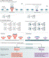 Figure 2|