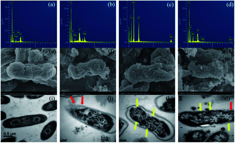 Fig. 6