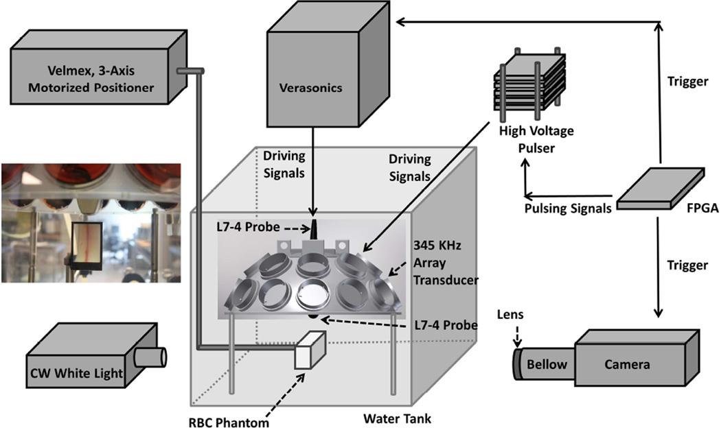 Fig. 2