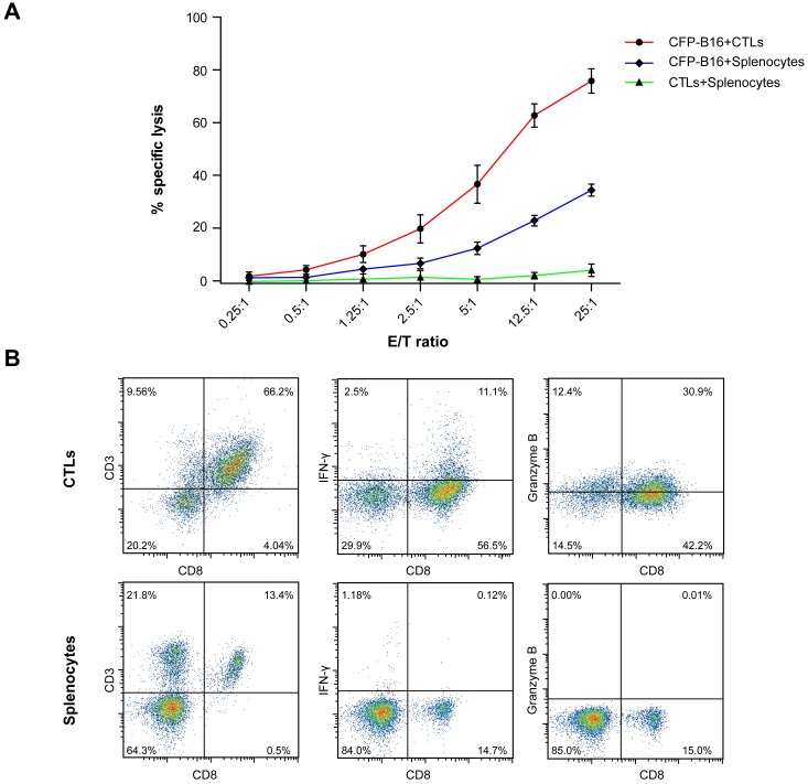 Figure 1—figure supplement 1.