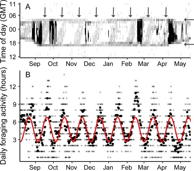 Fig 2