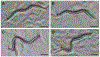 Figure 2: