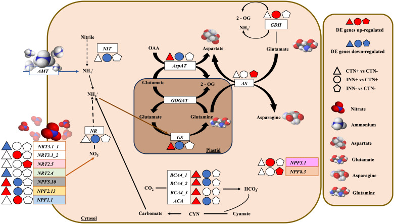 Figure 2