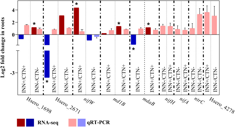 Figure 7