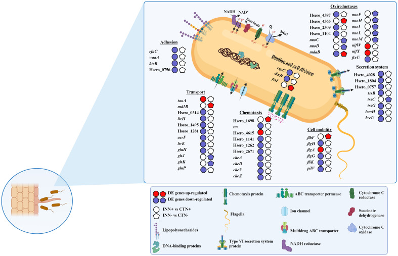 Figure 6