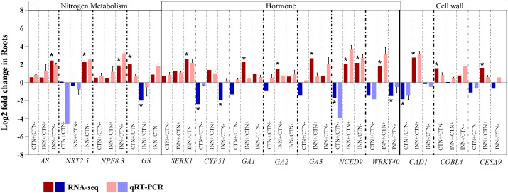 Figure 3