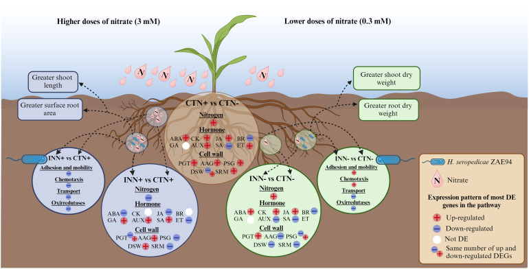 Figure 10