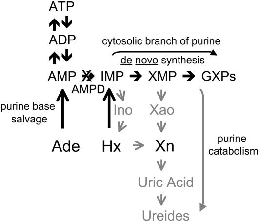 Figure 10.