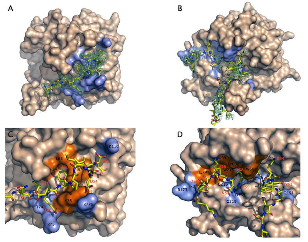 Figure 20