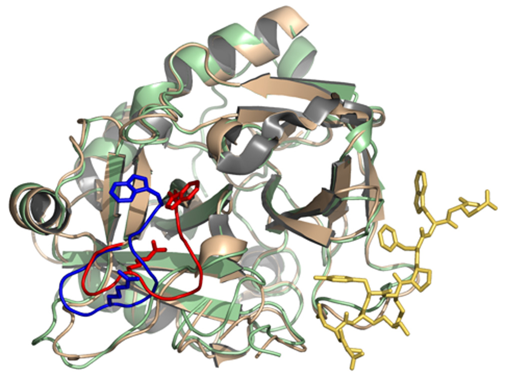 Figure 24