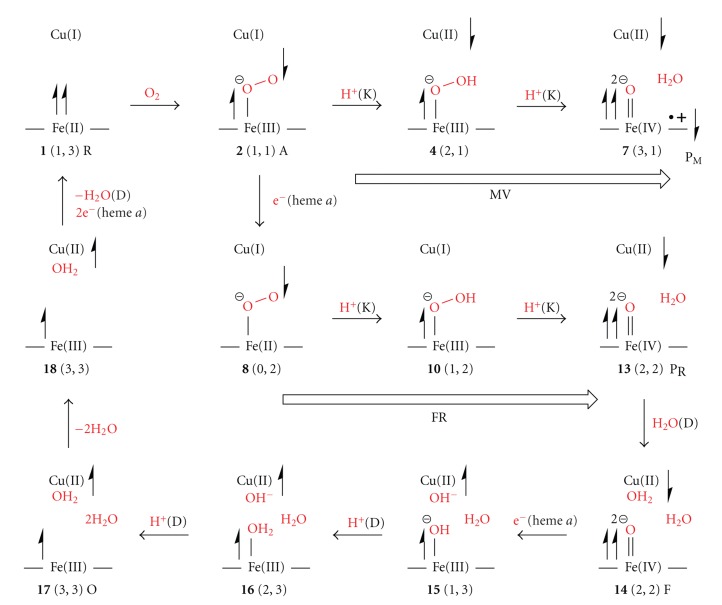 Scheme 3