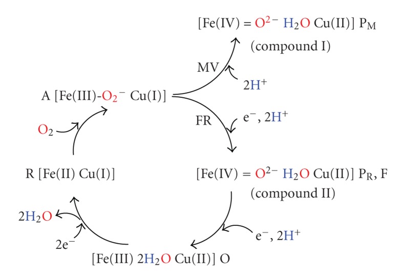 Scheme 1