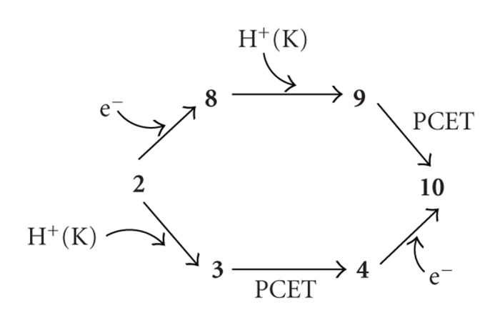 Scheme 2