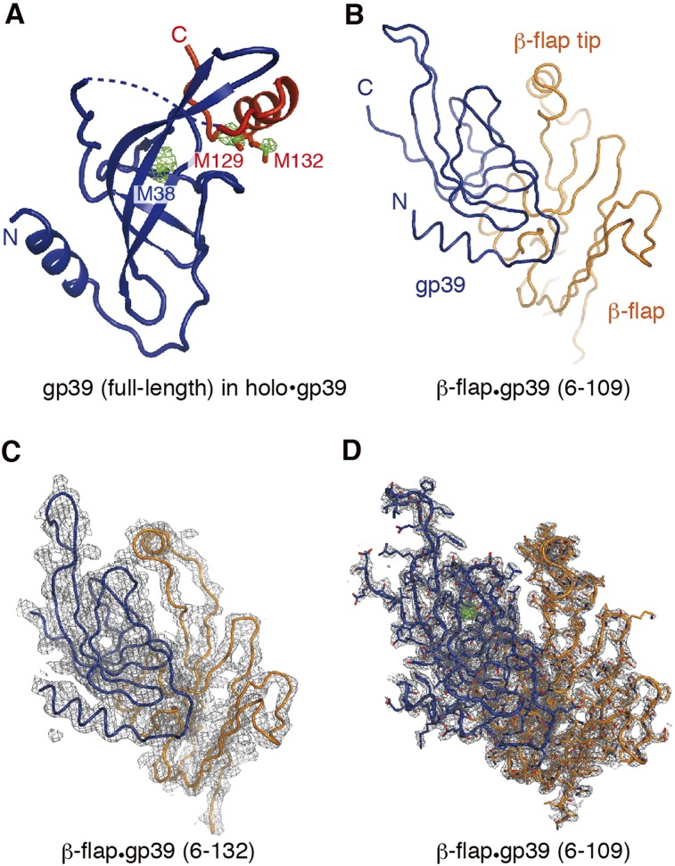 Figure 2.