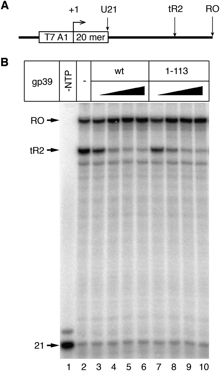 Figure 5.