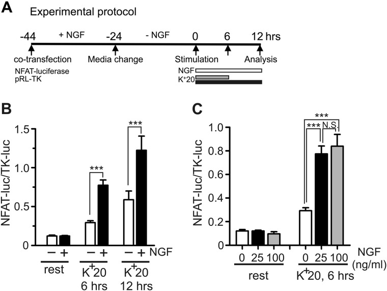 FIGURE 1.