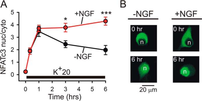 FIGURE 9.