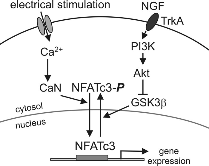 FIGURE 10.