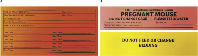 Figure 4