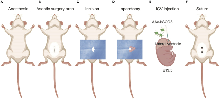 Figure 3