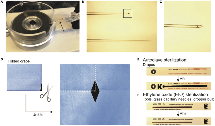 Figure 1