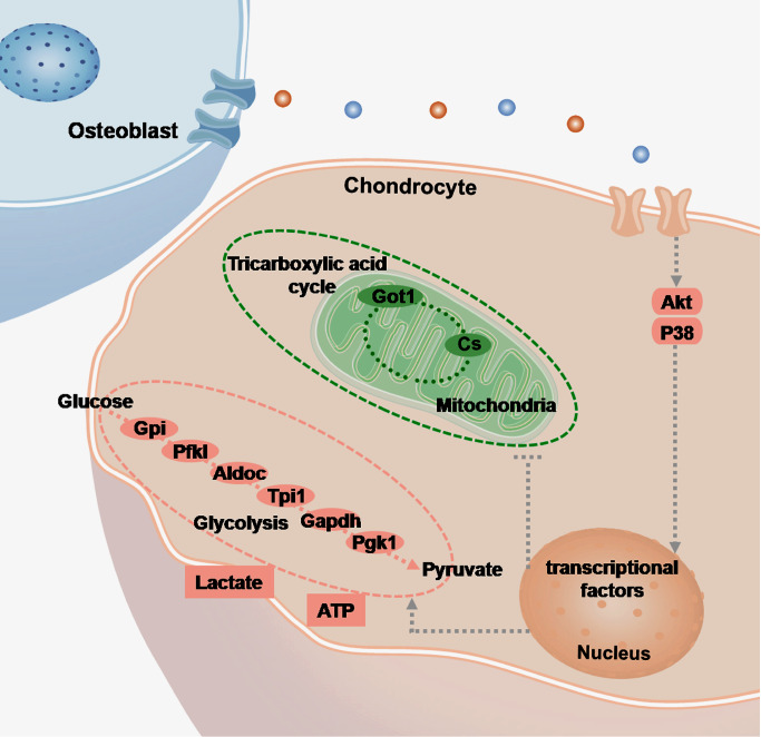 
Figure5
