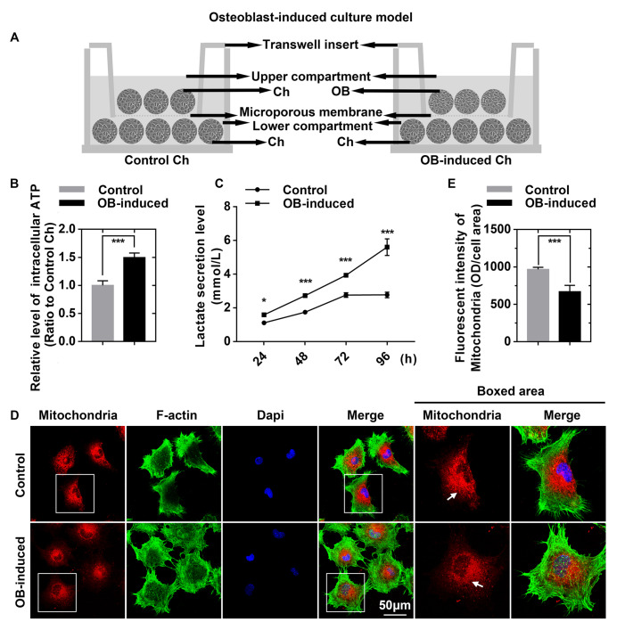 
Figure1
