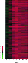 FIG. 2.