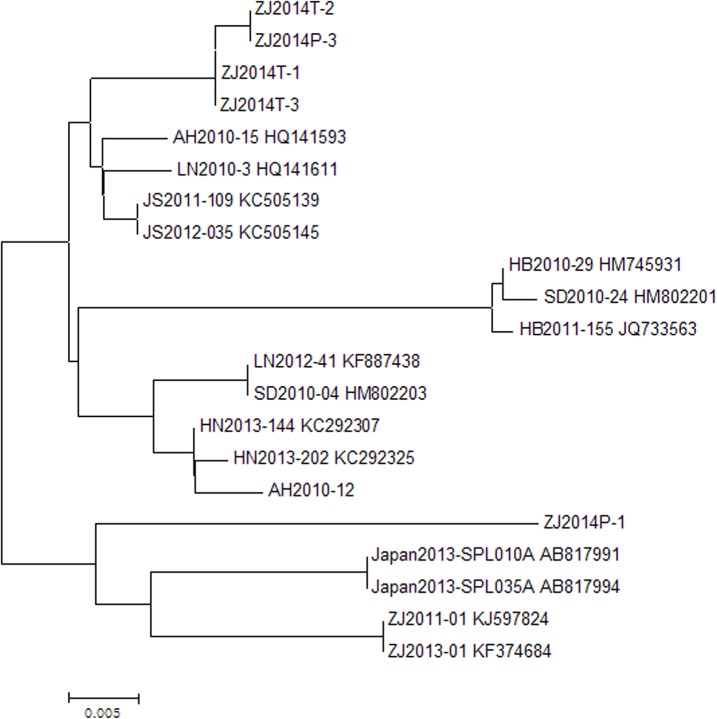 Fig 2