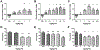 Figure 6: