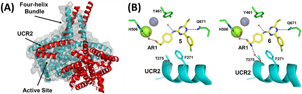 Figure 2: